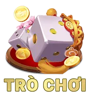 Người đang giữ bình tĩnh và đưa ra quyết định cẩn trọng, tượng trưng cho việc không đặt cược theo cảm xúc